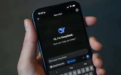 DeepSeek