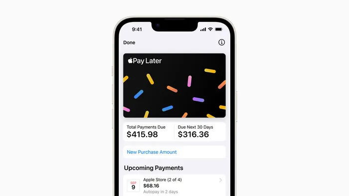 apple pay later