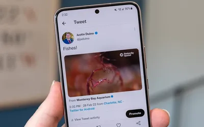 Twitter Youtube