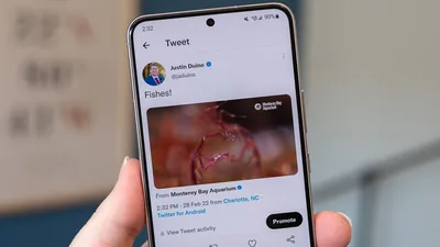 Twitter Youtube