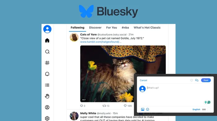 bluesky
