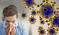 Coronavirus COVID-19 FDA
