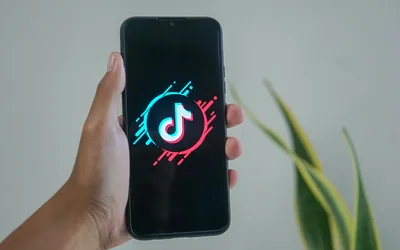TikTok Community Guidelines