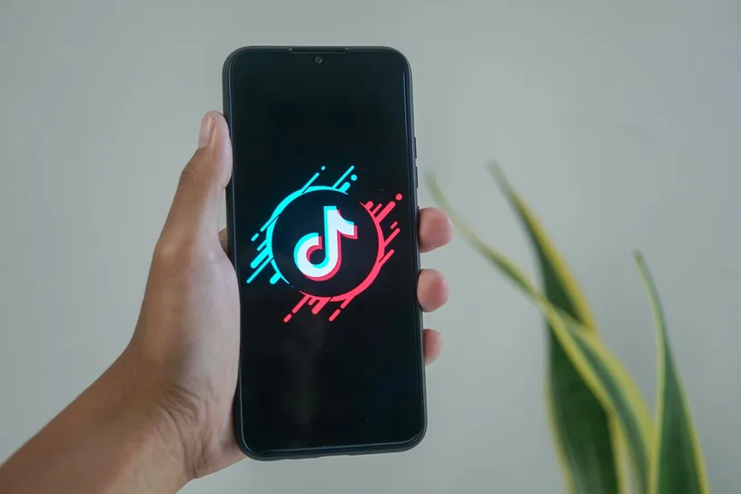 TikTok Community Guidelines