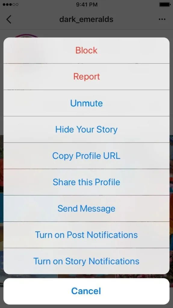 Mute People Instagram So You Dont Have Unfollow Block Them Completely w145