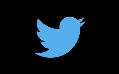 twitter bans accounts