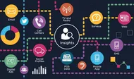 Consumer Insights