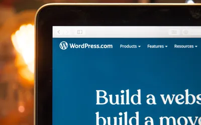 WordPress Alternatives