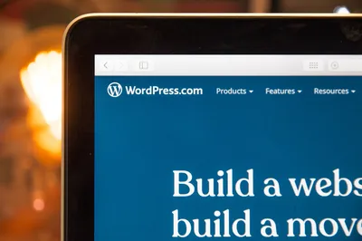 WordPress Alternatives